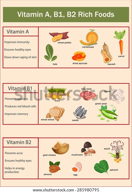 Vitamin B1 B2 Rich Foods Set Stock Vector (Royalty Free) 285980795