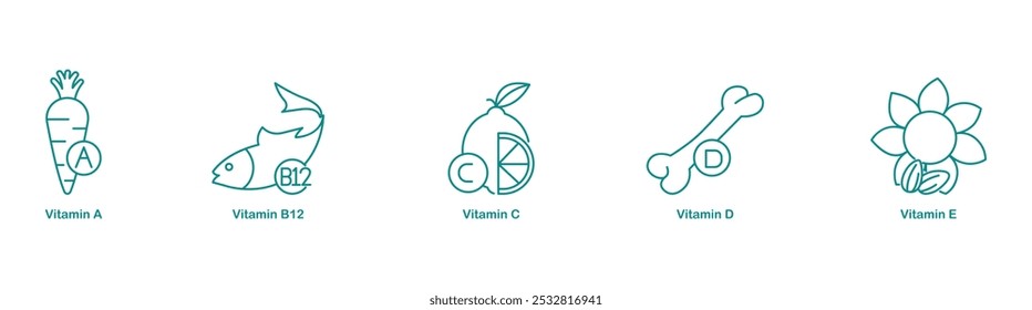 Ícones de vitamina A, B12, vitamina C, D e vitamina E para suporte completo à vitamina