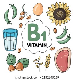 Vitamin B 1 products. Food sources. Flat vector illustration. Fruits and vegetables. Healthy Eating. Diet