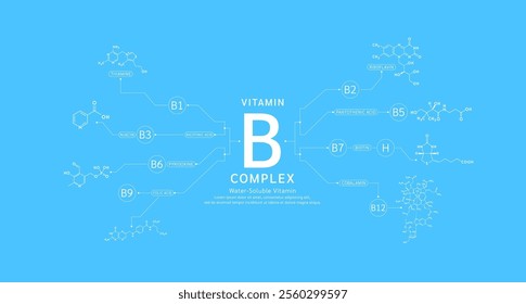 Vitamin B complex with chemical structure infographics. Water soluble vitamins nutrients essential for health. Used for design dietary supplement products. Medical science concept. Banner vector.