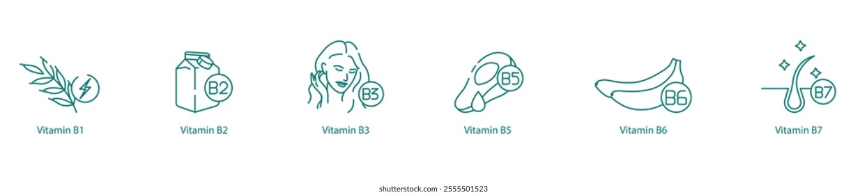 Vitamin B Complex Icon Set - B1, B2, B3, B5, B6, and B7 for Energy and Metabolism