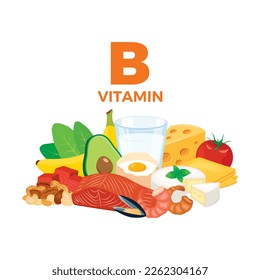 Vitamin B in food icon vector. Vitamin B food sources vector illustration isolated on a white background. Meat, milk, egg, cheese, seafood, nuts vector. Pile of healthy fresh food drawing