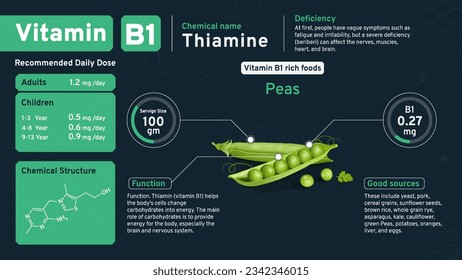 Vitamin B1 Illuminating Health from Within-Discover the Daily Dose, Chemical Power, Retinol Structure, and Rich Foods with Serving Sizes to Nourish Your Vision- Vector infographics Design