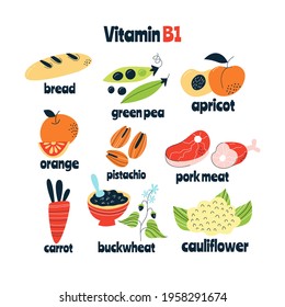 Vitamin B1 main food sources: cabbage, fish, avocado. Vector illustration in a hand-drawn style. Perfect for pharmacological or medical poster, flyer, banner.