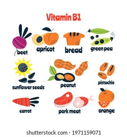 Vitamin B1 main food sources: cabbage, fish, avocado. Vector illustration in a hand-drawn style. Perfect for pharmacological or medical poster, flyer, banner.