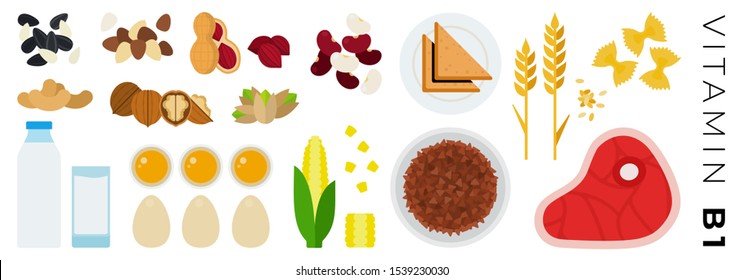 Vitamin B1 products vector flat icons set with buckwheat, pistachios, beef, peanut, milk, corn, beans. Isolated on white background.