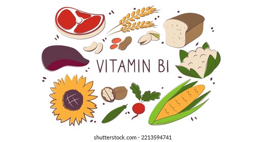 Vitamin B1 Thiamin . Groups of healthy products containing vitamins. Set of fruits, vegetables, meats, fish and dairy
