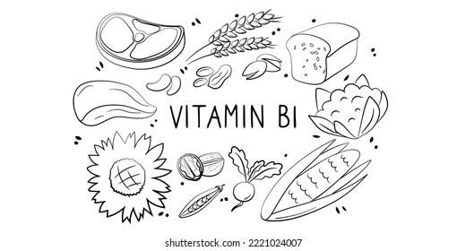 Vitamin B1 Thiamin . Groups of healthy products containing vitamins. Set of fruits, vegetables, meats, fish and dairy.