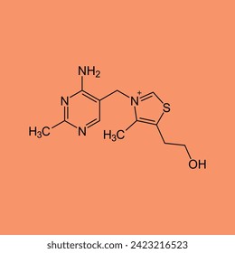 Vitamin B1. Thiamine Molecular chemical formula. skeleton formula of thiamine. Chemistry formula of the vitamin thiamine B1. Infographics. Vector illustration on isolated background. Education 