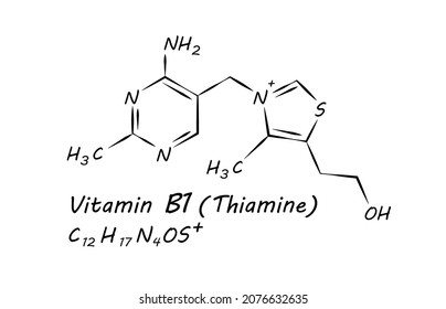 Vitamin B1 (Thiaminel) Chemical formula molecular structure complex. Vitamins and Minerals found in various foods. Science and medicine concept. Vector EPS10 Illustration.