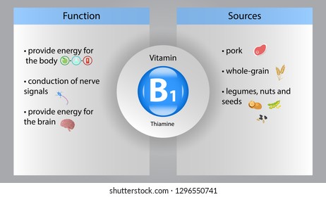 Vitamin B1 vector design. Vitamin B1 function and sources. Thiamine