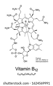 Vitamin B12, cobalamin, chemical structure. Involved in metabolism of every cell of the human body: DNA synthesis, functioning of nervous system and developing of red blood cells. Illustration. Vector
