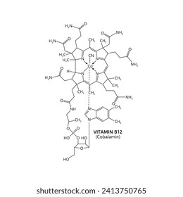 La vitamina b12, o cobalamina, es esencial para la función nerviosa. El esquema vectorial tiene una estructura molecular compleja que contiene un átomo cobalto en su centro, rodeado por un anillo de corredor y varias cadenas laterales