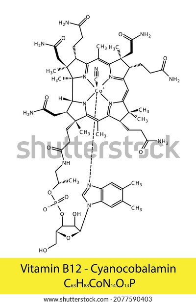 Vitamin B12 Cyanocobalamin Skeletal Structure Molecular Stock Vector 