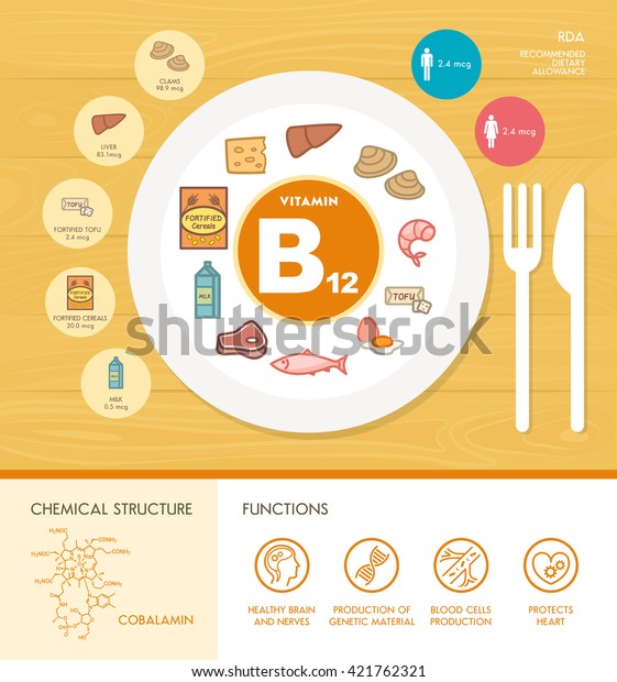 Vitamin B12 Nutrition Infographic Medical Food Stock Vector (Royalty ...