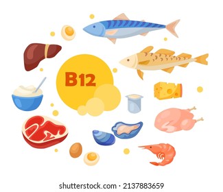 Vitamin b12-enriched food cartoon collection set. Organic meat, fish, milk, cheese, tuna, shrimp, curd, eggs containing vitamin isolated on white background. Balanced diet, meal, healthcare concept