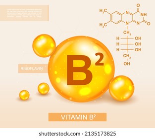 Vitamin B2 concept. Fat, natural and organic products. Health care, nutrition and sport diet. Active lifestyle, nutritional supplements, landing page design. Cartoon isometric vector illustration