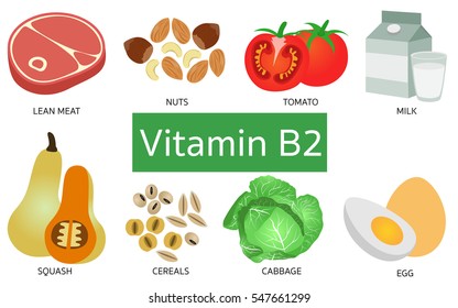 Vitamin B2 Food Sources On White Background.