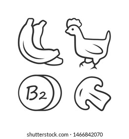 Vitamin B2 linear icon. Bananas, poultry and mushroom. Healthy eating. Riboflavin natural food source. Thin line illustration. Contour symbol. Vector isolated outline drawing. Editable stroke