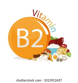 Vitamin B2. Natural organic products with the maximum content of vitamin B2.