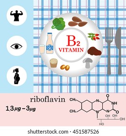 Vitamin B2 nutrition infographic with medical and food icons: diet, healthy food and wellbeing concept