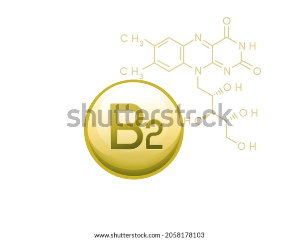 Vitamin B2 Riboflavin Capsule Molecular Formula Stock Vector Royalty