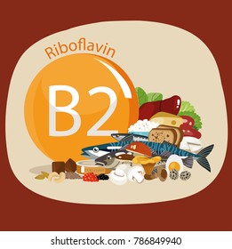 Vitamin B2 (riboflavin). Food sources. Natural organic products with the maximum vitamin content.