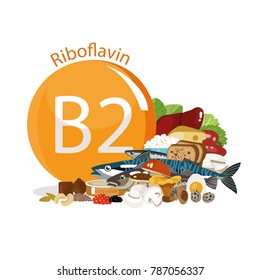 Vitamin B2 (riboflavin). Food sources. Natural organic products with the maximum vitamin content.