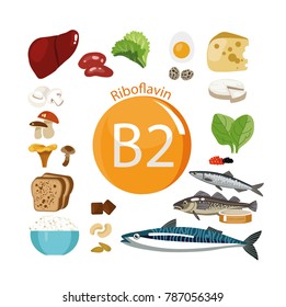 Vitamin B2 (riboflavin). Food sources. Natural organic products with the maximum vitamin content.