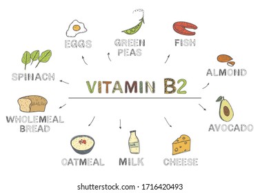 Vitamin B2 Riboflavin Foods Rich B2 Stock Vector (Royalty Free ...