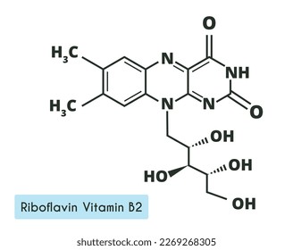 Vitamin B2. riboflavin Molecular chemical formula. Infographics. Vector illustration on white  background.