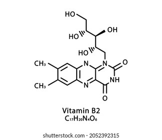 Vitamin B2 Riboflavin Molecular Structure Vitamin Stock Vector (Royalty ...