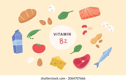 Vitamin B2 sources.Food containing riboflavin. Mushrooms, fish, dairy products, nuts, meat. Diet, nutrition, healthy food.Vector illustration cartoon flat style.