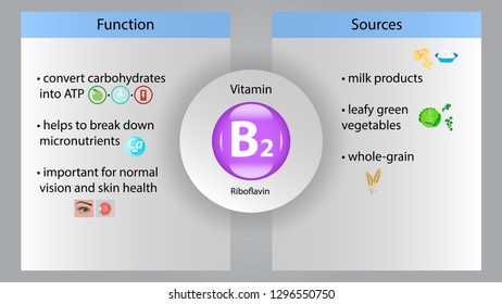 Infographic Marketing Mix Four P Product Stock Vector (Royalty Free ...