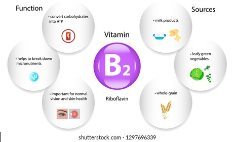 Vitamin B2 Vector Design Vitamin B2 Stock Vector (Royalty Free) 1297696339