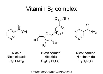 Vitamin B3 complex, chemical formulas. Nicotinamide, niacin and nicotinamide riboside, the three vitamers of the vitamin B3. All three forms are converted within the body to NAD. Illustration. Vector