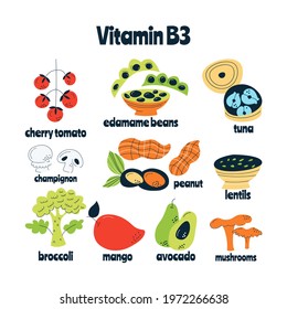 Vitamin B3 main food sources: cabbage, fish, meat, nuts, tomato. Vector illustration in a hand-drawn style. Perfect for pharmacological or medical poster, flyer, banner.