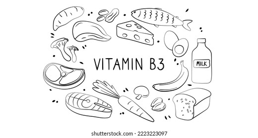 Vitamin B3 Niacinamide Vitamin PP niacin Nicotinamide. Groups of healthy products containing vitamins. Set of fruits, vegetables, meats, fish and dairy