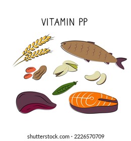 Vitamin B3 Niacinamide Vitamin PP niacin Nicotinamide. Groups of healthy products containing vitamins. Set of fruits, vegetables, meats, fish and dairy