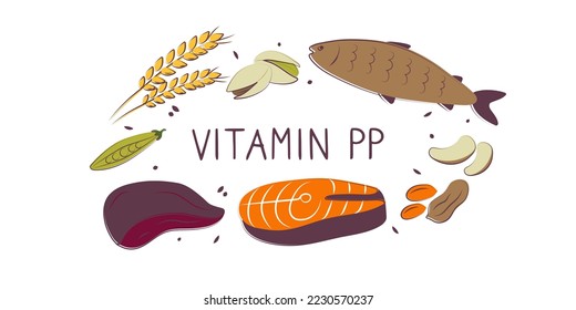 Vitamin B3 Niacinamide Vitamin PP niacin Nicotinamide. Groups of healthy products containing vitamins. Set of fruits, vegetables, meats, fish and dairy