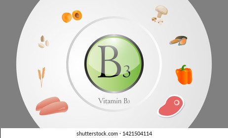 Vitamin B3 sources vector illustration