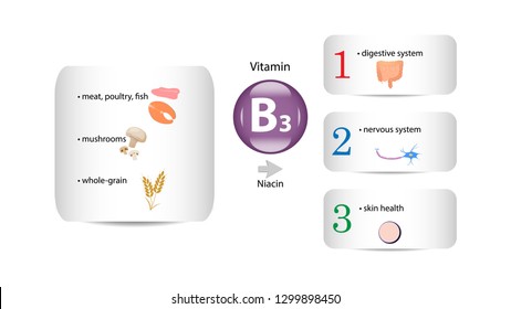 Vitamin B3 vector design. Vitamin B3 function and sources. Niacin