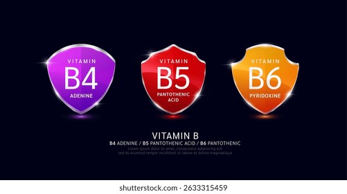 Vitamina B4 B5 B6 em vidro translúcido escudo quadro de alumínio brilhante 3D moderno isolado no fundo escuro. Para produtos de design suplemento dietético. Proteção da saúde. Vetor.