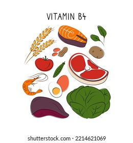 Vitamin B4 Choline. Groups of healthy products containing vitamins. Set of fruits, vegetables, meats, fish and dairy