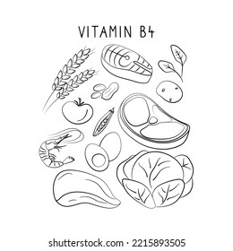 Vitamin B4 Choline. Gruppen von gesunden Produkten, die Vitamine enthalten. Sorte Obst, Gemüse, Fleisch, Fisch und Milchprodukte.