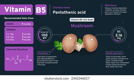 Vitamin B5 Illuminating Health from Within-Discover the Daily Dose, Chemical Power, Retinol Structure, and Rich Foods with Serving Sizes to Nourish Your Vision- Vector infographics Design