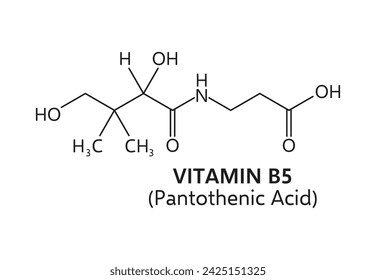 Chemische Rezepturstruktur für Vitamin B5 oder Pantothensäure, die einen an eine beta-Alaningruppe gebundenen Pantoesäureanteil umfasst. Vektorschema von Elementen, die eine entscheidende Rolle im Energiestoffwechsel spielen