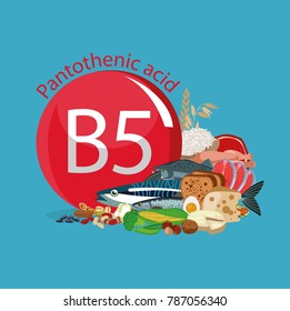 Vitamin B5 (Pantothenic acid). Food sources. Natural organic products with the maximum vitamin content.
