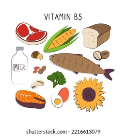 Vitamin B5 Pantothenic acid. Groups of healthy products containing vitamins. Set of fruits, vegetables, meats, fish and dairy