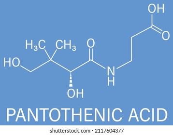 Vitamin B5 or pantothenic acid, pantothenate, molecule. Skeletal formula.